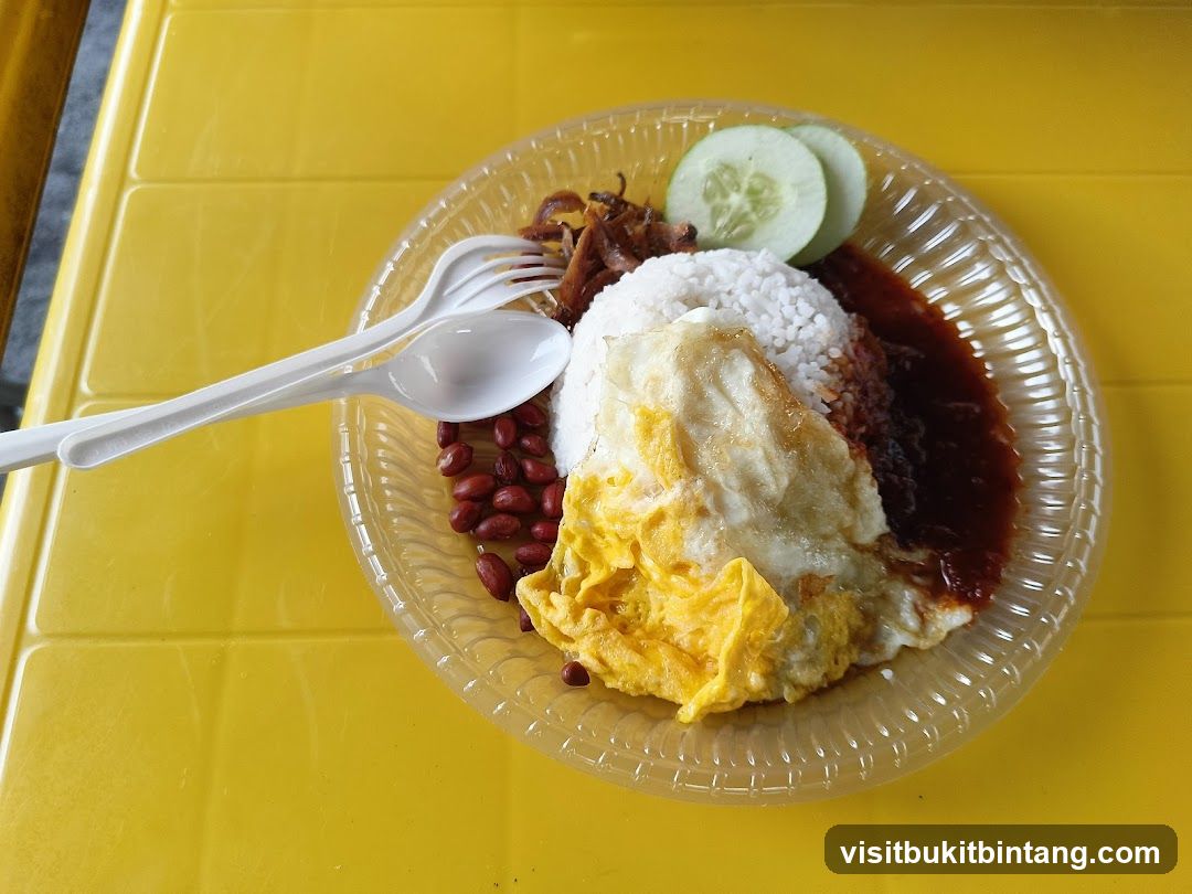 Nasi Lemak Kukus Cilibilis