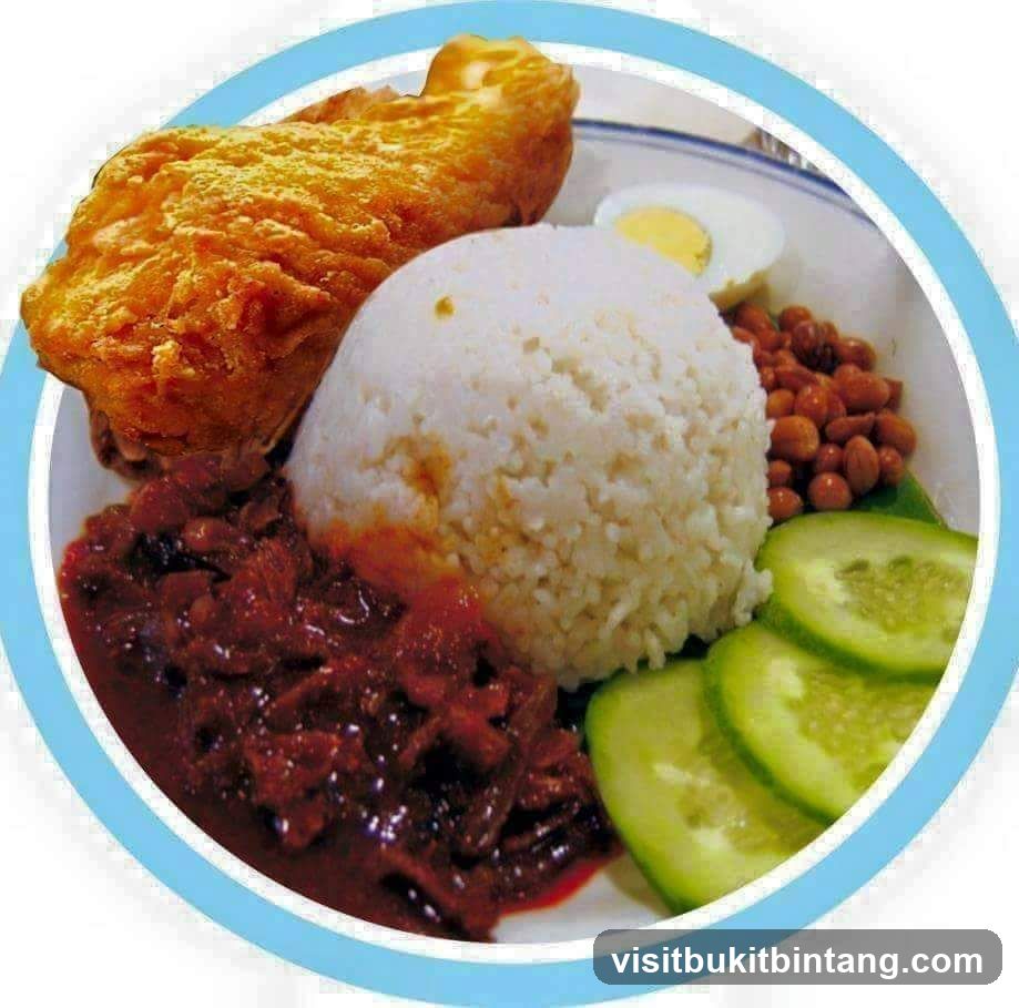 Nasi Lemak Kukus Cilibilis