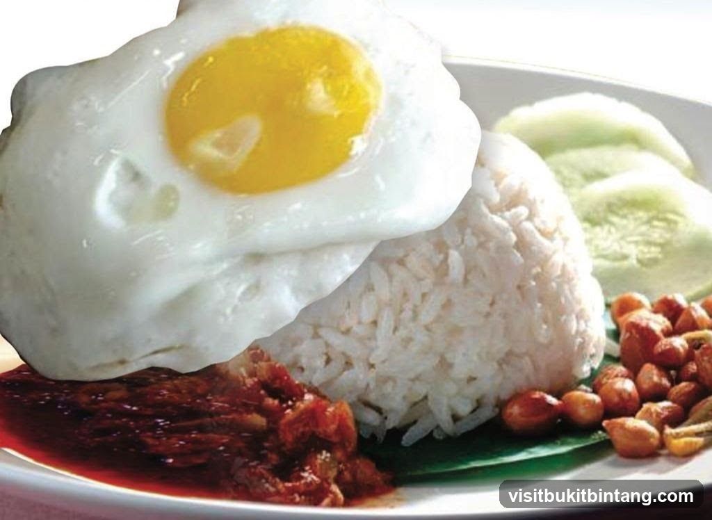 Nasi Lemak