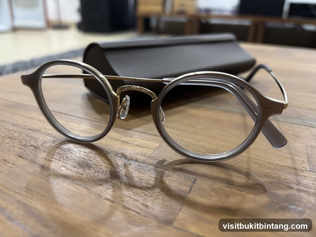 Eyeglasses and Case