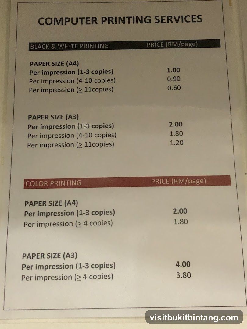 COMPUTER PRINTING SERVICES
