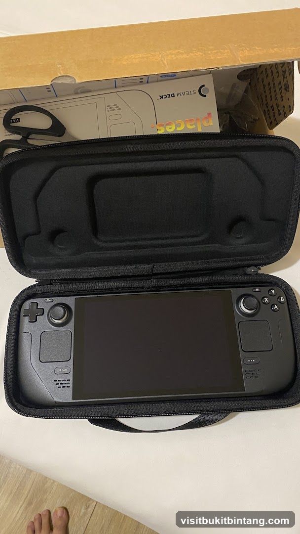 Steam Deck in Carrying Case