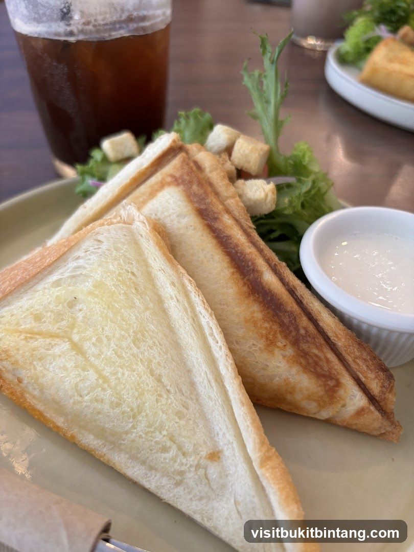Sandwich and Salad