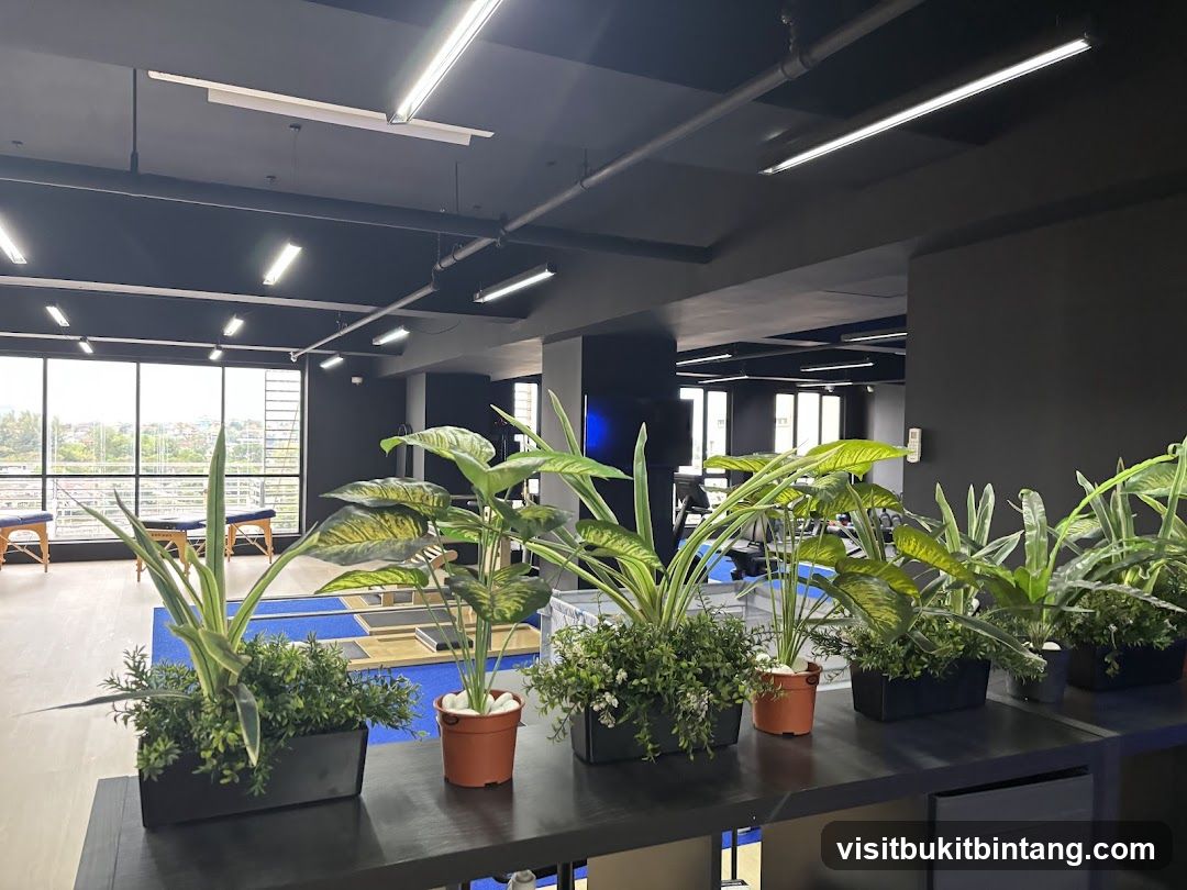 Gym Interior with Plants