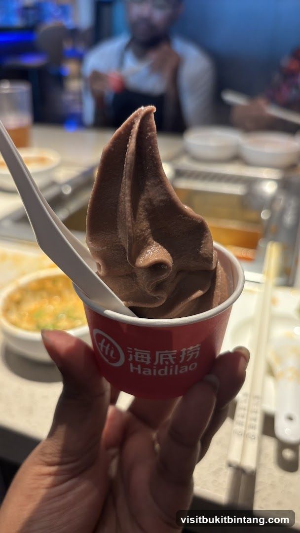Chocolate Soft Serve Ice Cream