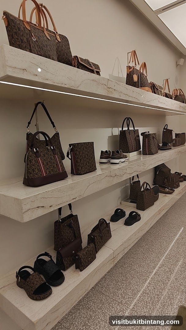Designer Handbags and Shoes Display