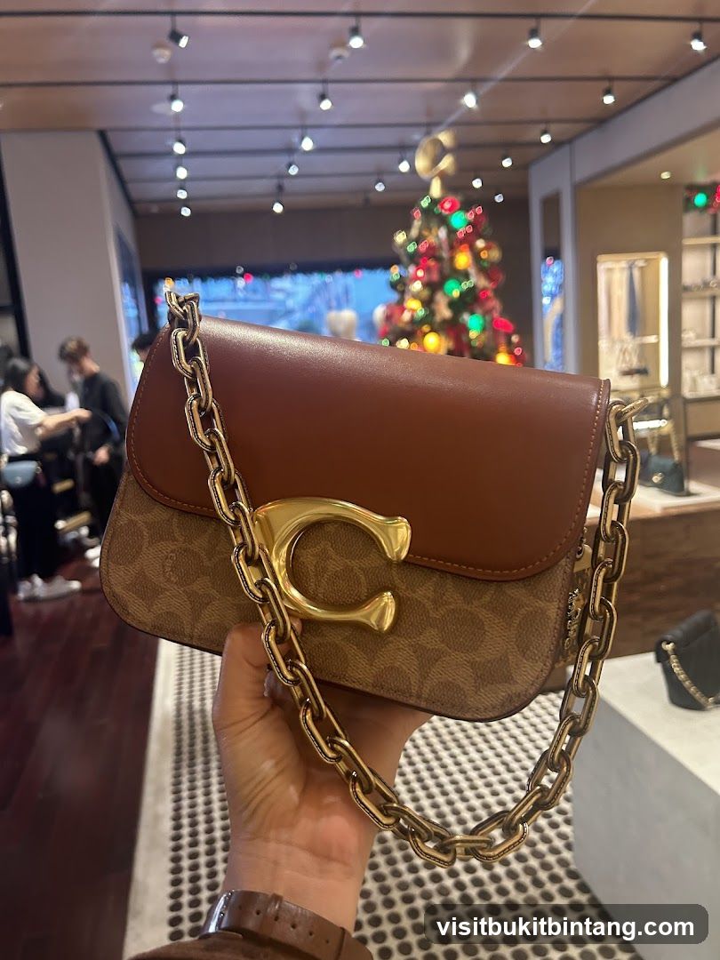 Coach handbag with gold chain strap