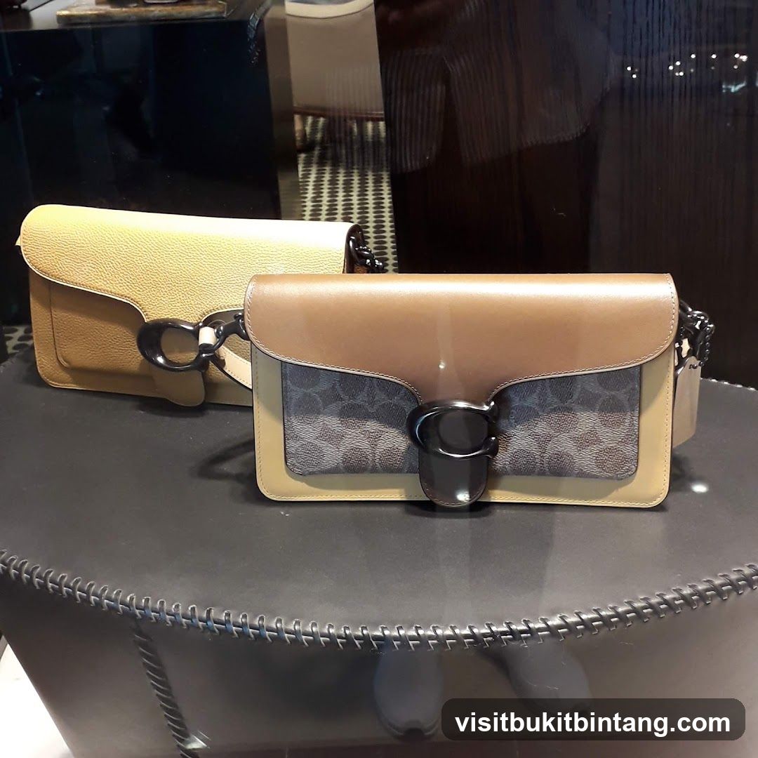 Coach Handbags