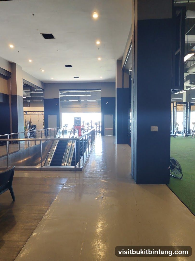 Gym Interior with Escalator