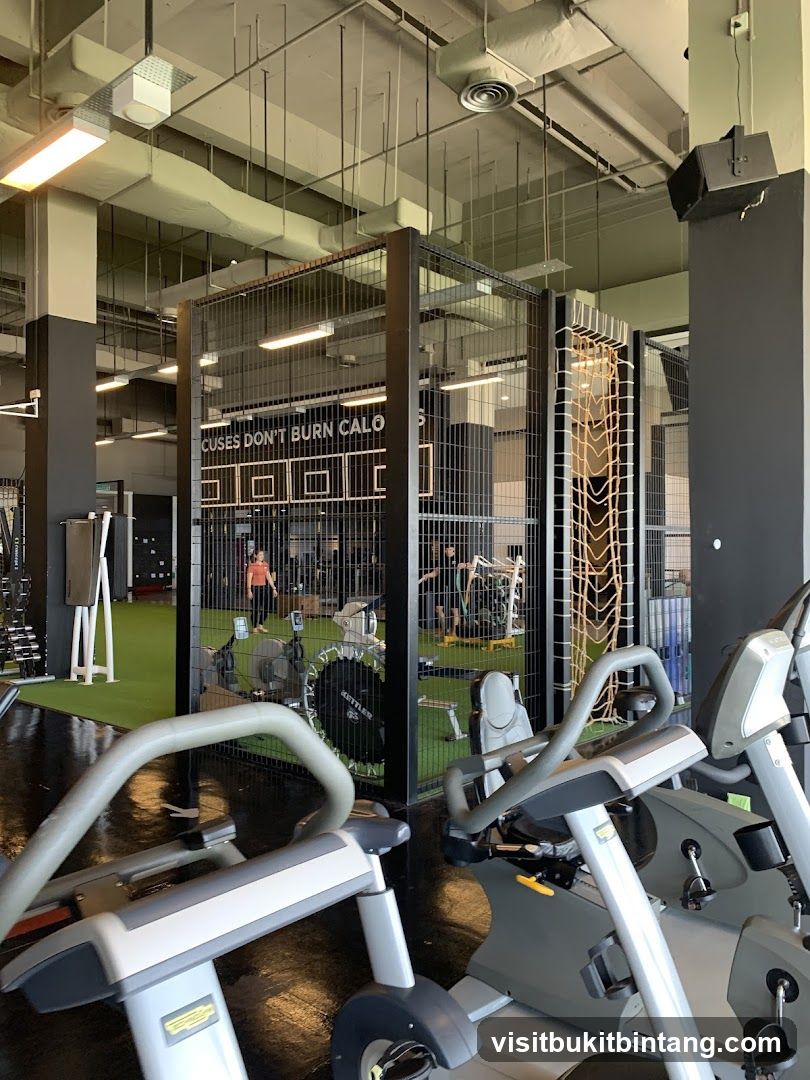 Gym Interior with Exercise Equipment