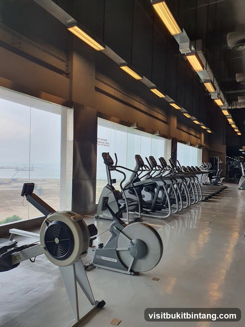 Gym Equipment