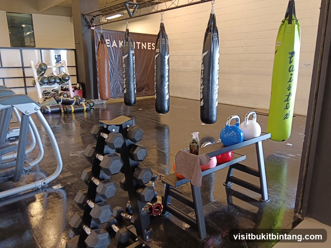 Gym Equipment