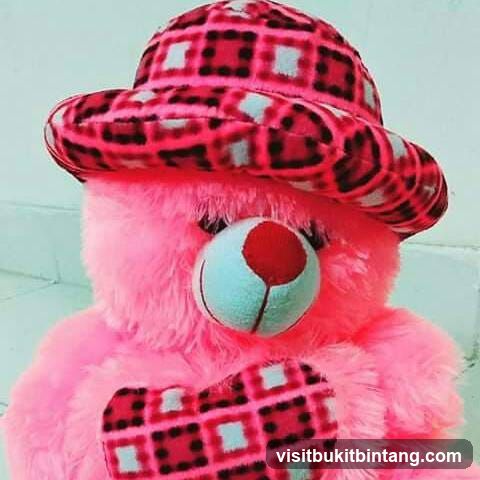 Pink Teddy Bear with Hat