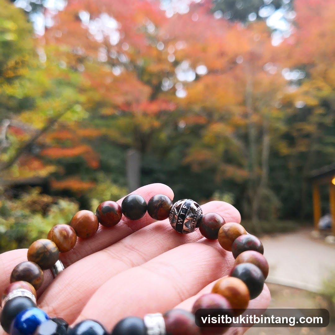 Bracelet with autumn foliage background