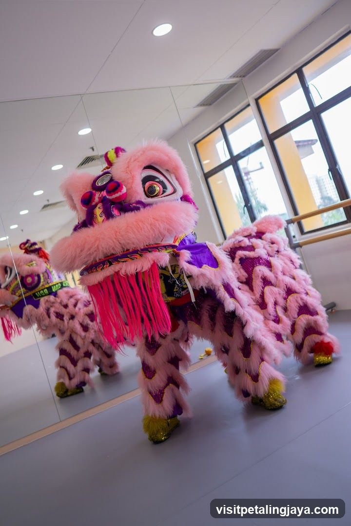 Pink Lion Dance Costume in Studio