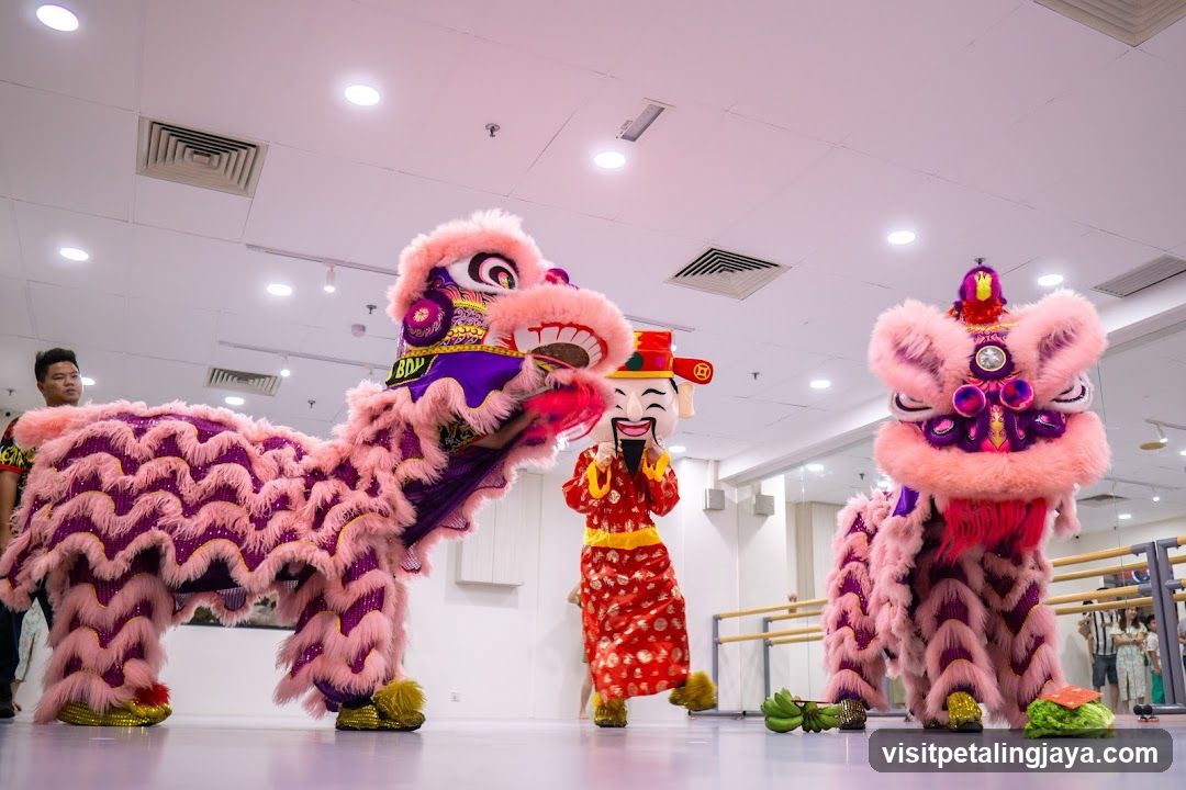 Lion Dance Performance