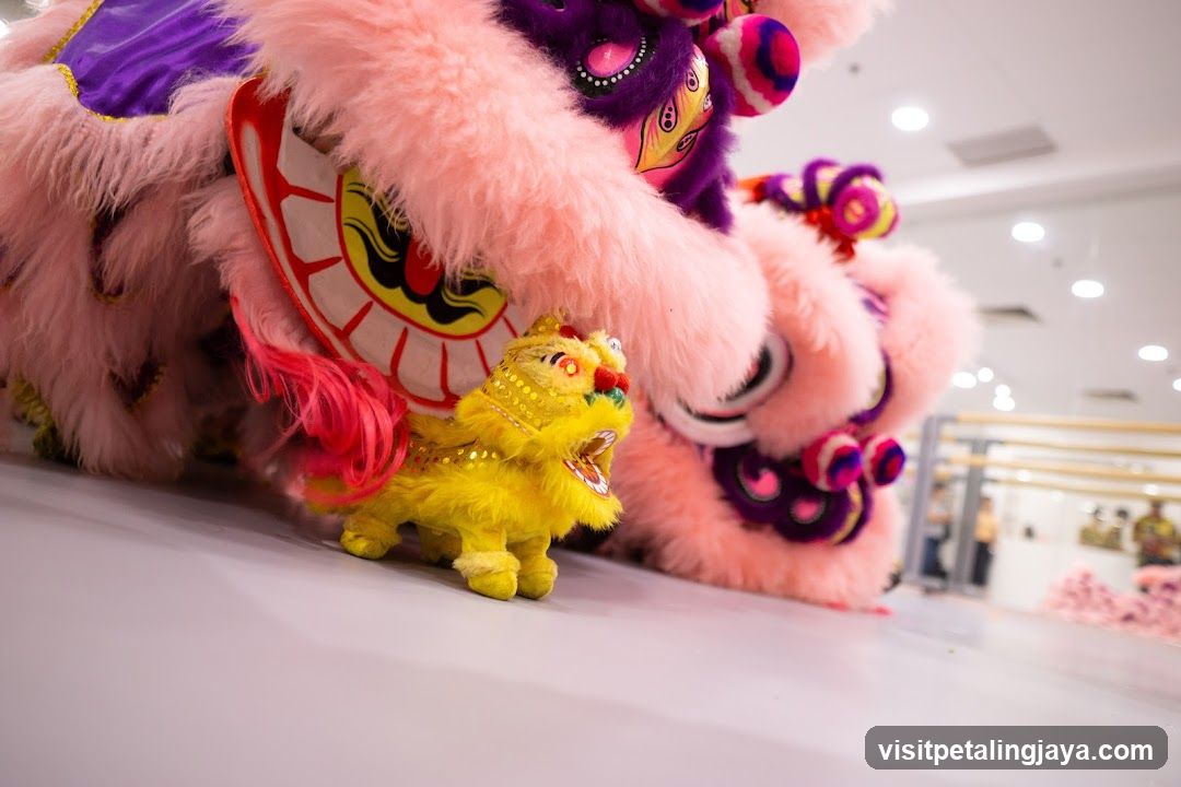 Lion Dance Performance