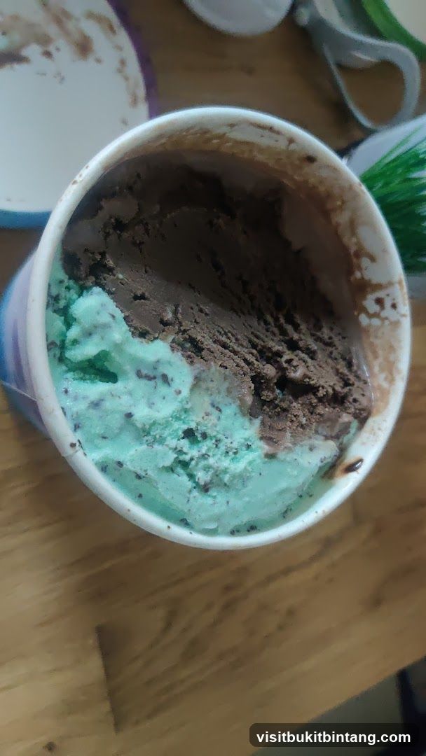 Mint Chocolate Chip and Chocolate Ice Cream