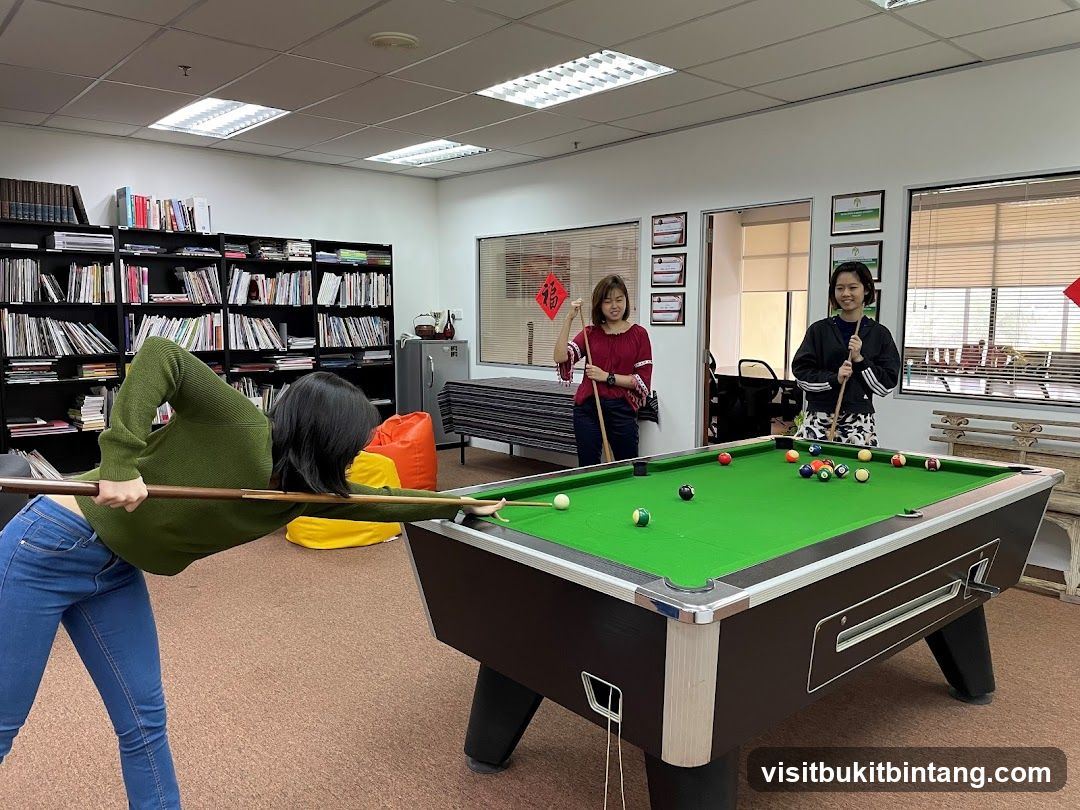 People playing billiards