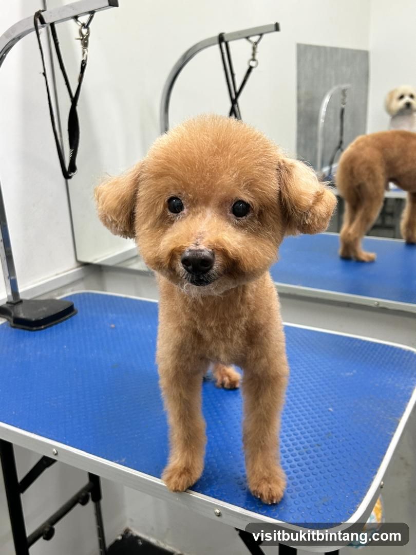 Dog grooming table