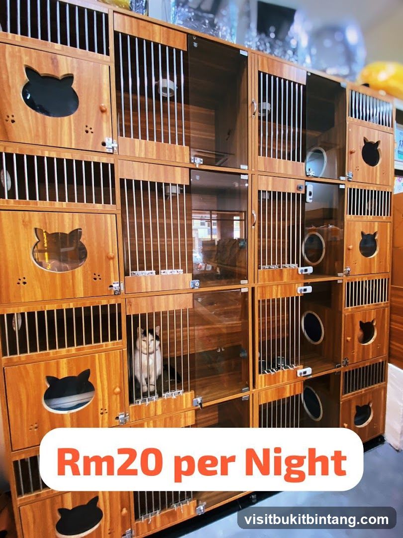 Cat Boarding Cages