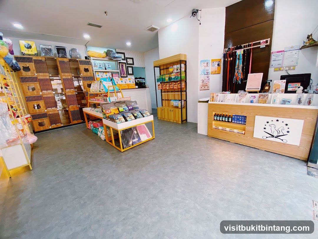 Pet Store Interior