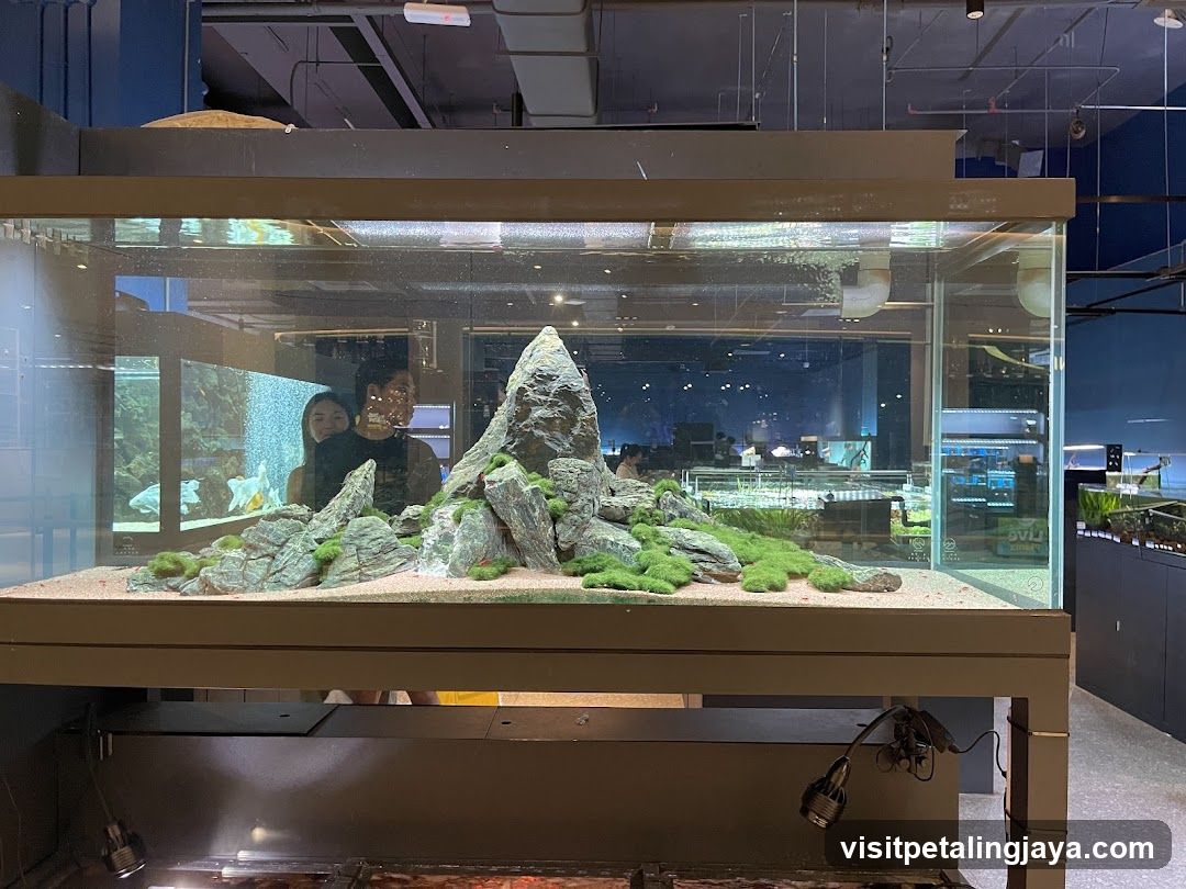 NMS Aquatics @ Just Pets Megastore (Kota Damansara)