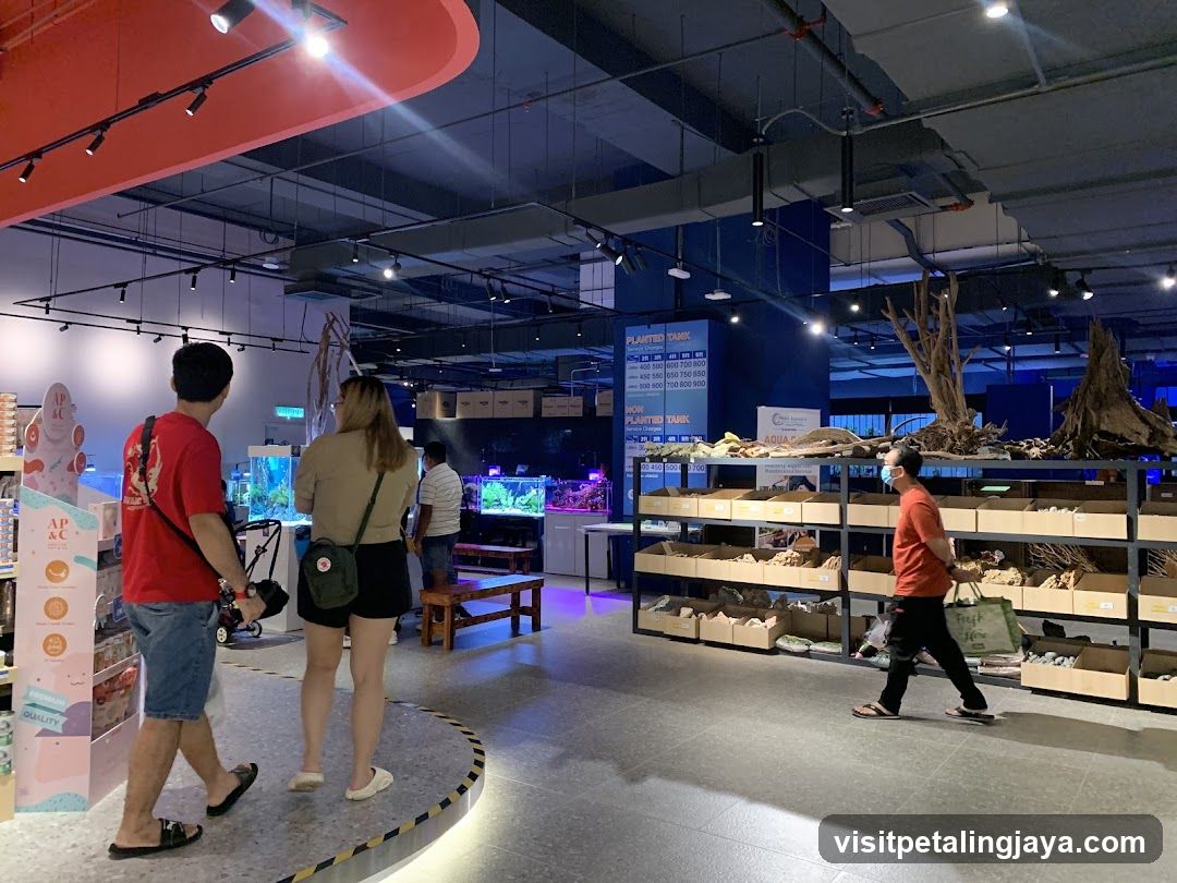 Aquarium Interior with Visitors