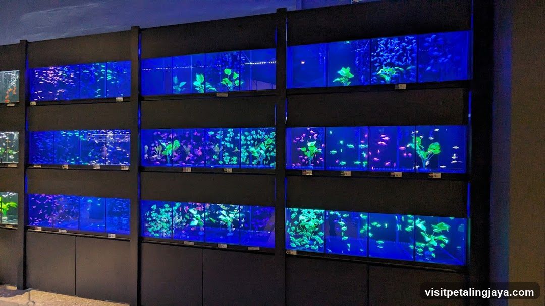 Aquarium Display Wall