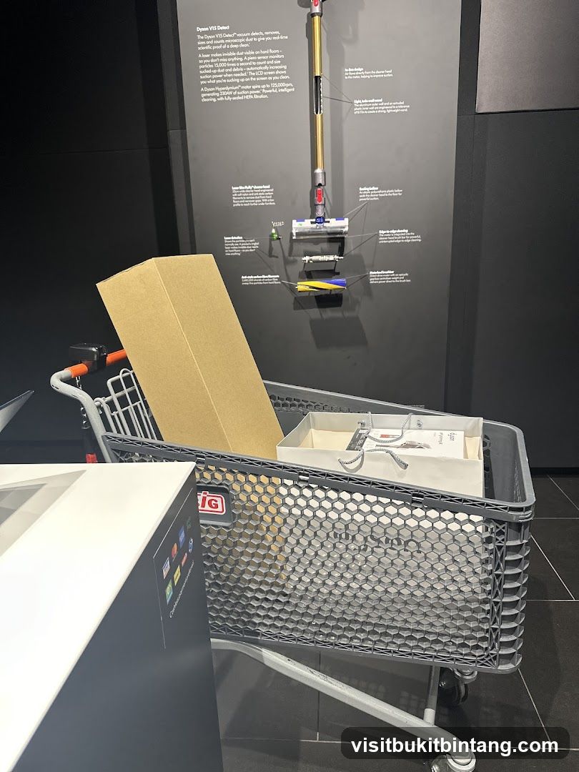 Dyson V15 Detect Display
