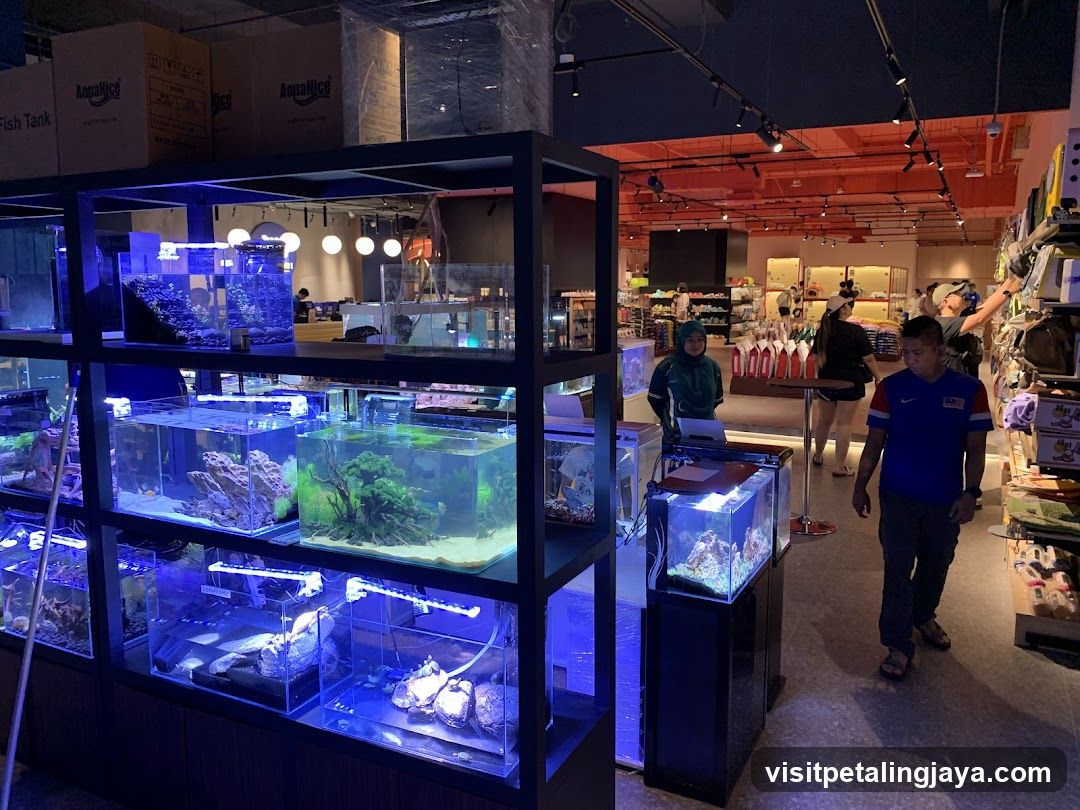 Aquarium Shop Interior