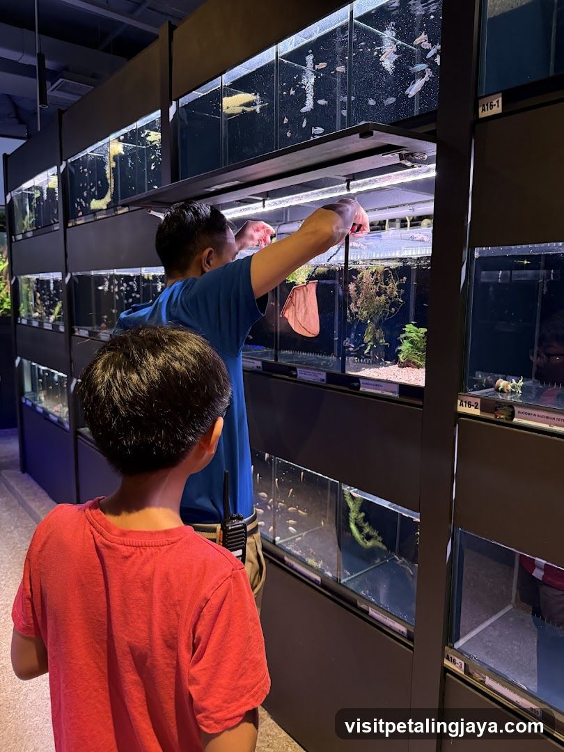 Aquarium Interior with Staff and Visitor