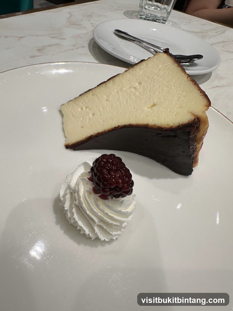 Burnt Basque Cheesecake Slice
