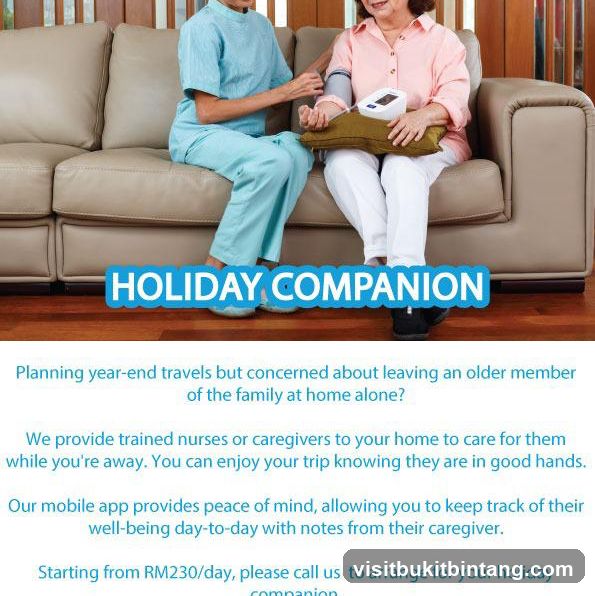 Holiday Companion Service