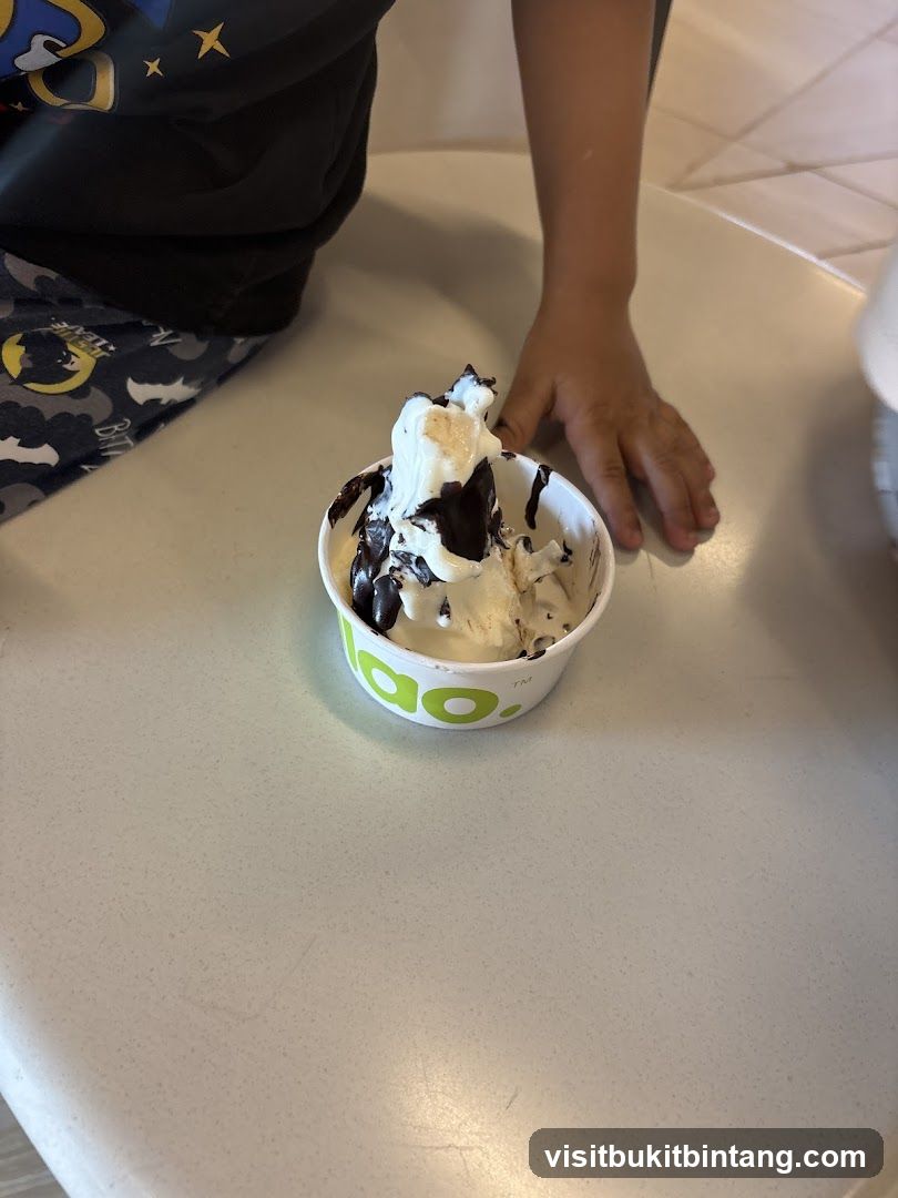 Frozen Yogurt with Chocolate Topping