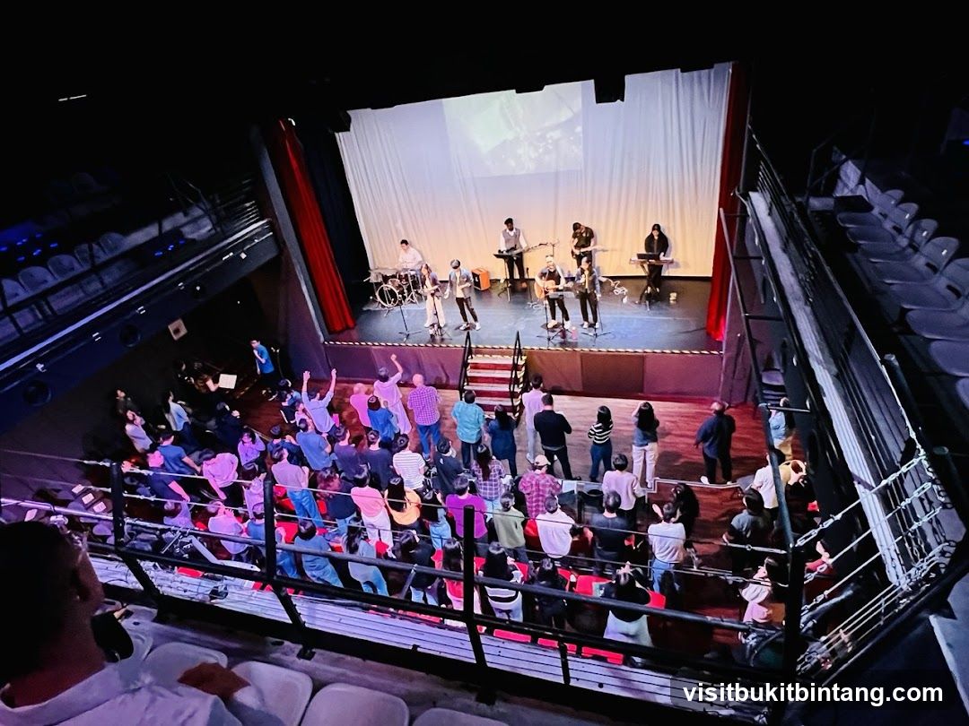 Concert Performance