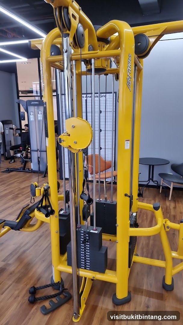 Gym Equipment