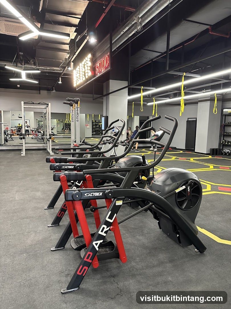 Gym Equipment