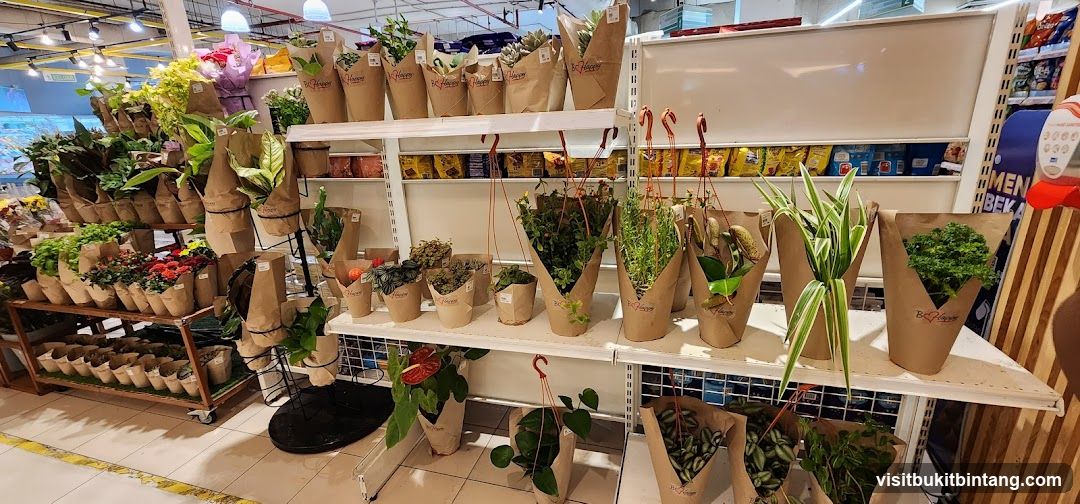 Village Grocer @ Sunway Giza Mall