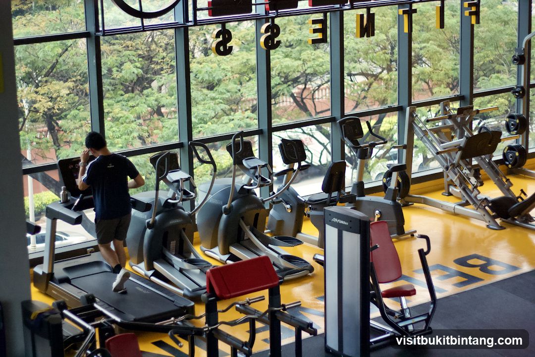 Gym Interior with Cardio Equipment