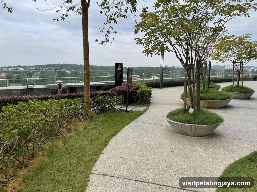 Rooftop Garden View