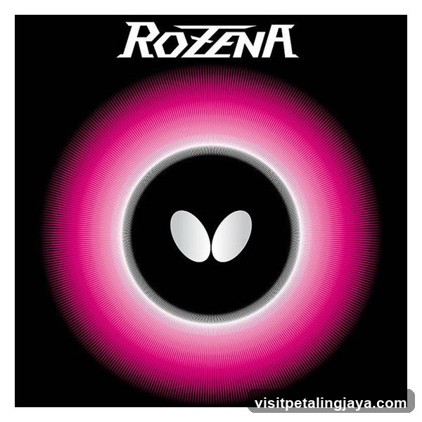 Rotzena Logo Design