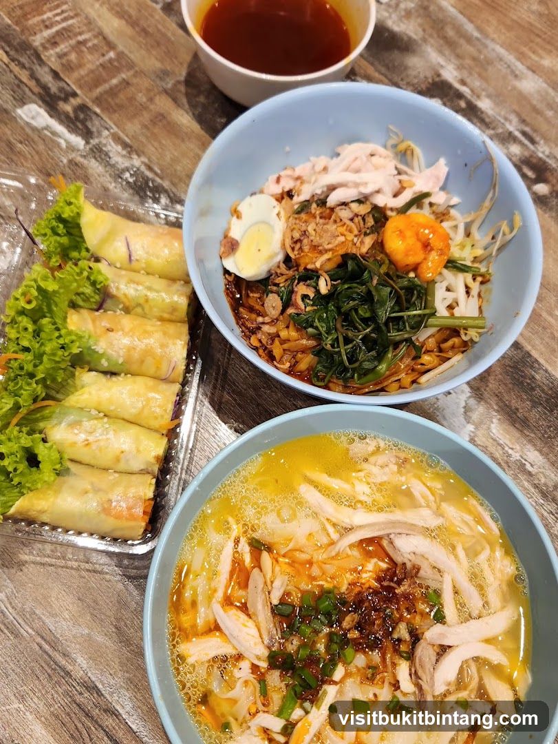 Noodles and Spring Rolls