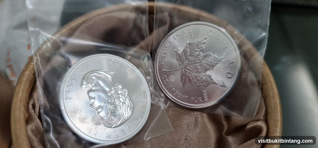 Silver Maple Leaf Coins