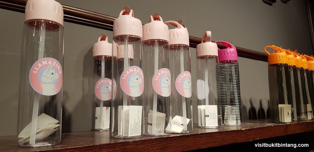 Water Bottles with Llama Design