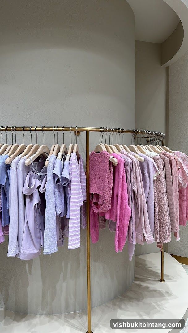 Clothing Racks with Pink and Purple Apparel