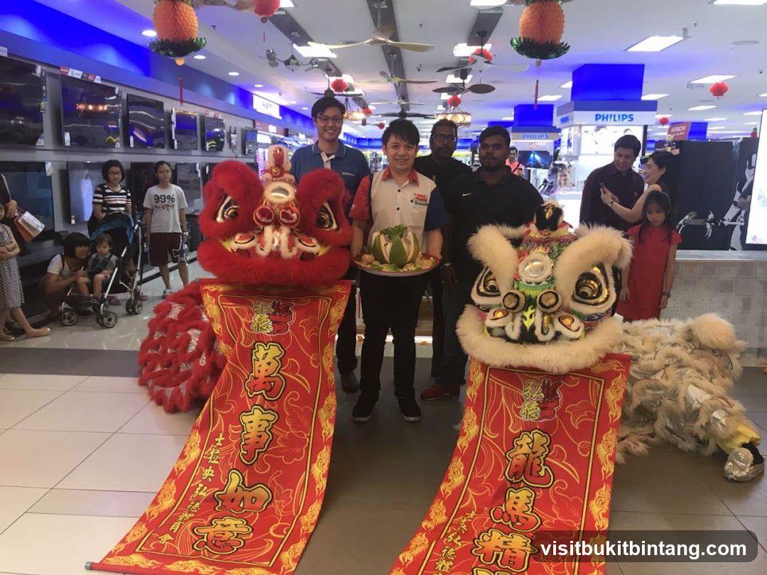 Lion Dance Performance