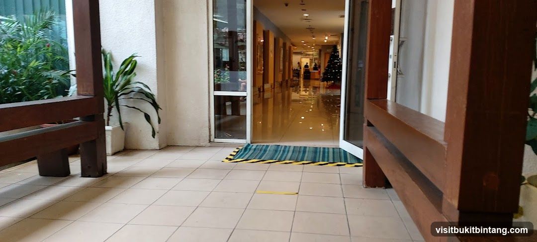 Hallway with Christmas Tree