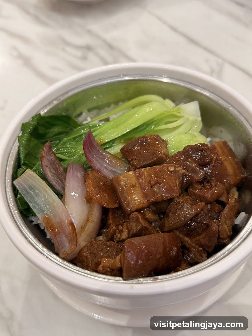 Braised Pork Rice Bowl