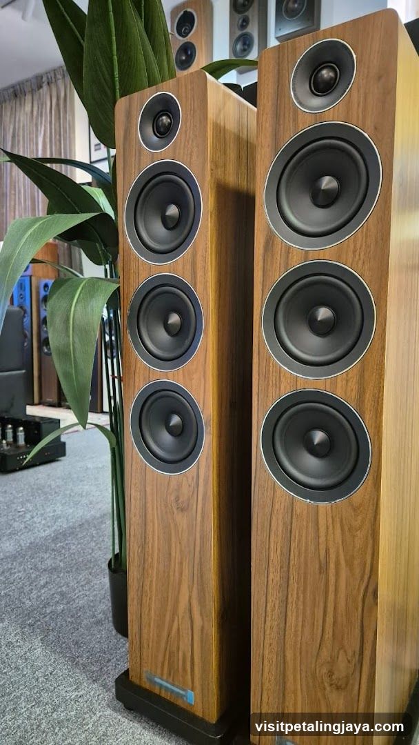 Wooden Floorstanding Speakers in Store Interior